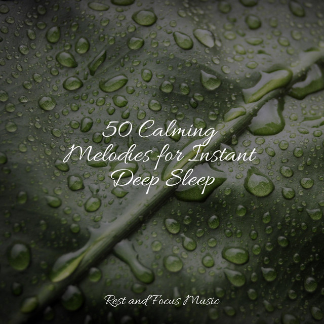 50 Calming Melodies for Instant Deep Sleep - Album by Wellness | Spotify