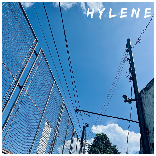 Hylene cover