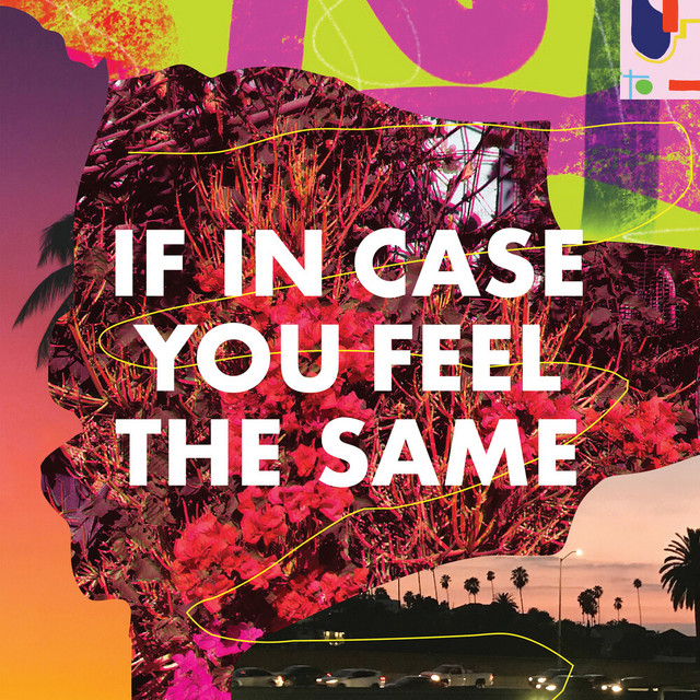 If In Case You Feel The Same cover art
