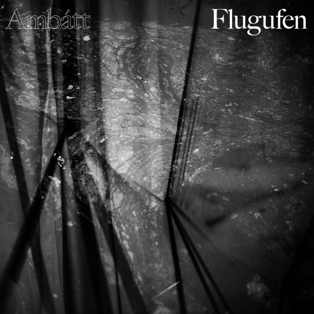 Flugufen cover art