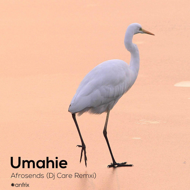 Umahie (DJ Care Remix)