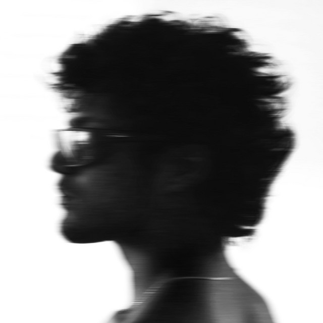 336 cover art