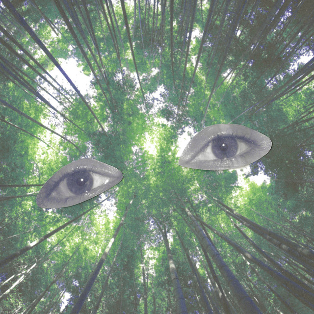Trees cover art