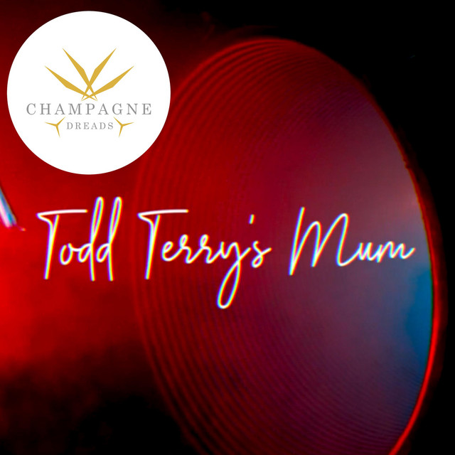 Pochette de Todd Terry's Mum
