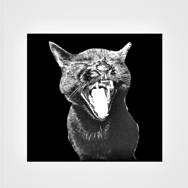some days are better than others cover art