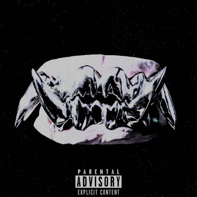 SDH cover