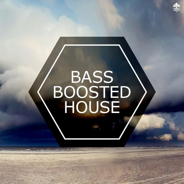 Bass Boosted House cover art