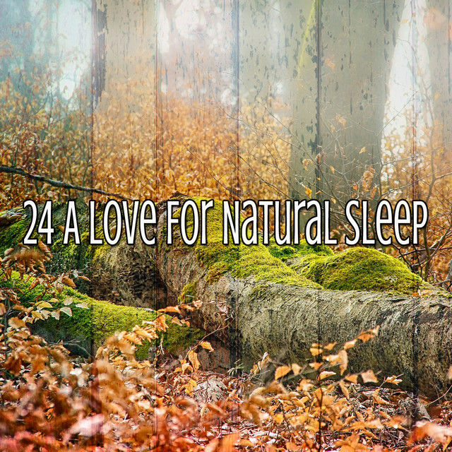 24 A Love For Natural Sleep - Album by Nature Sounds Nature Music | Spotify