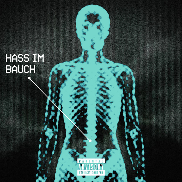 Hass im Bauch cover art