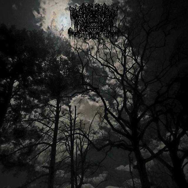 Self Inflicted Hypoxia cover art