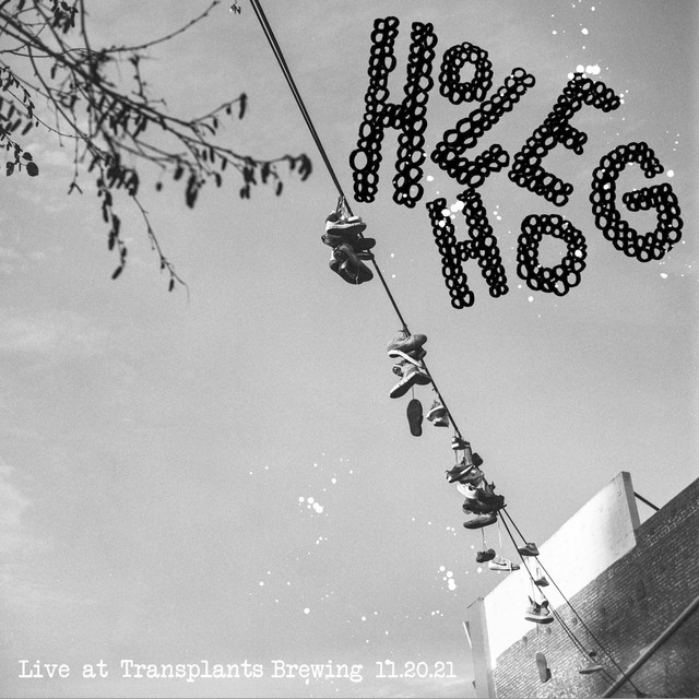 Live at Transplants Brewery cover art