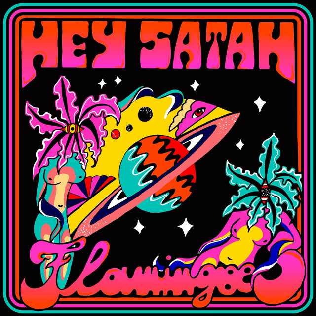 Flamingoes cover
