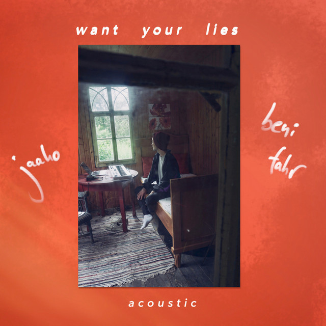 Want Your Lies (Acoustic Version) cover
