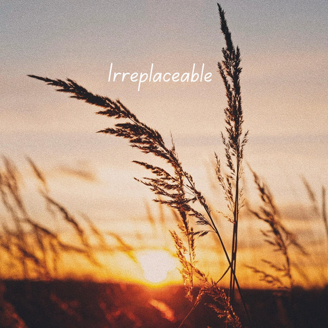 Irreplaceable cover art