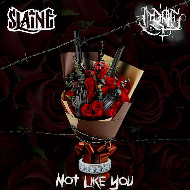 Not Like You - Single by C.RAE | Spotify