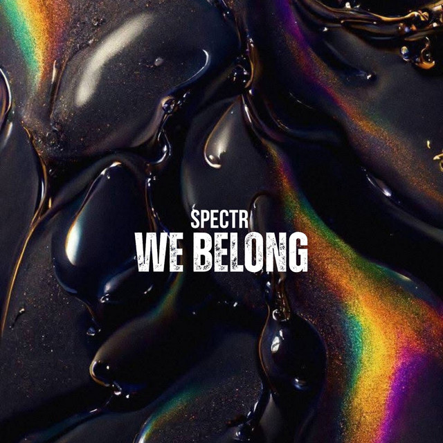 Pochette du titre We Belong