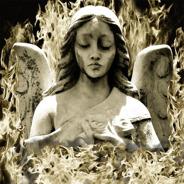 Into the Fire cover art
