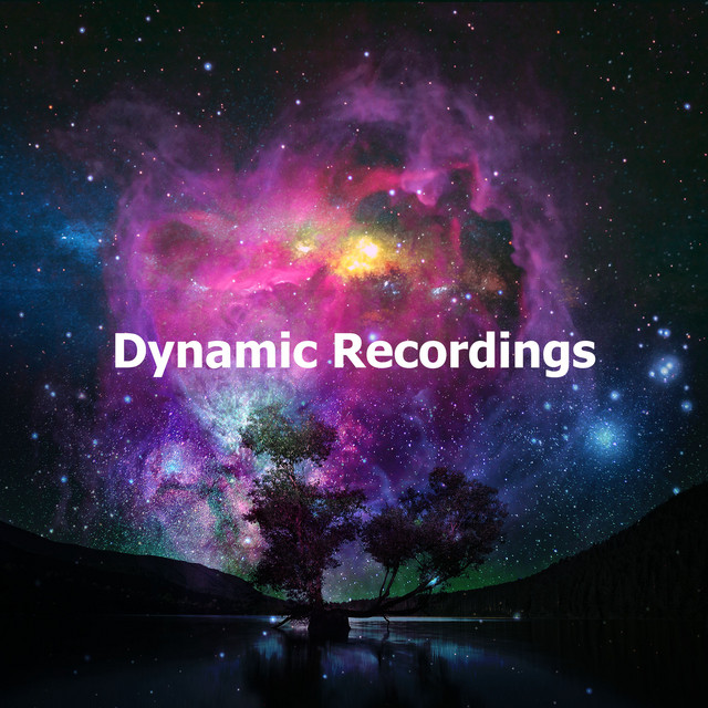 Dynamic Recordings ! ! ! - Album by Microdynamic Recordings | Spotify