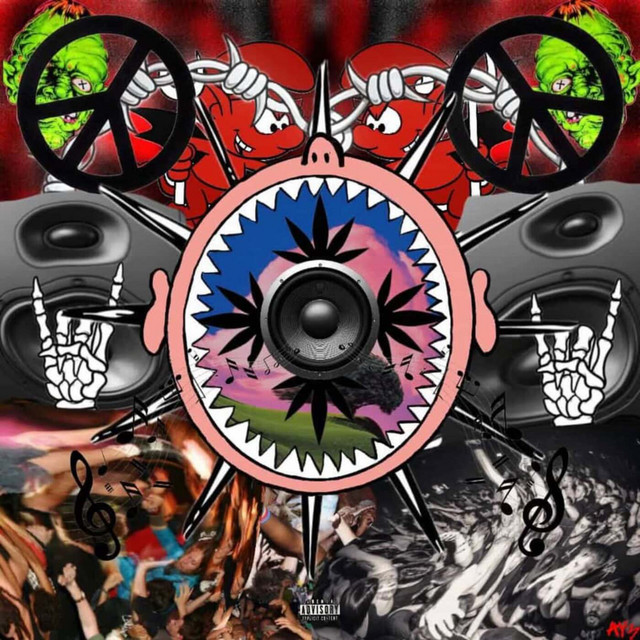 MOSHPIT MUSIK