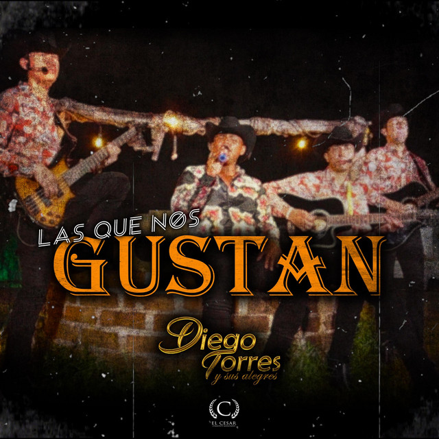 Las Que Nos Gustan cover art