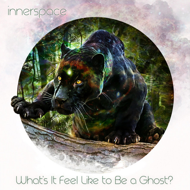 What's It Feel Like to Be a Ghost? cover