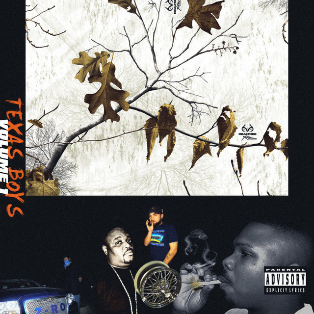 Texas Boys Volume 1 cover art