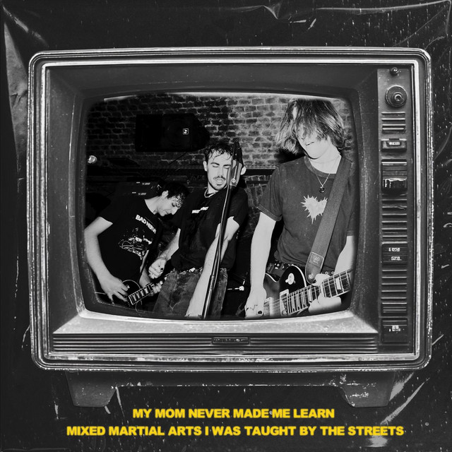 my mom never made me learn mixed martial arts I was taught by the streets cover