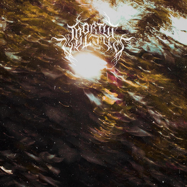 Обкладинка: Broken Bed — Mortui Vultus