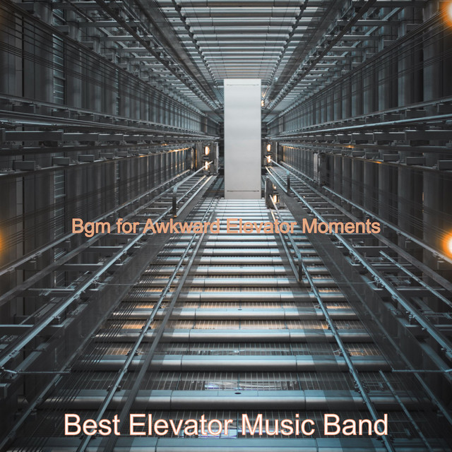 Bgm for Awkward Elevator Moments cover art