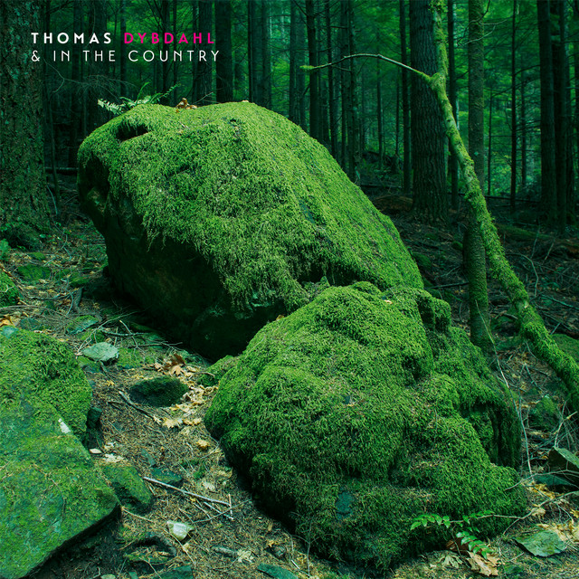 Thomas Dybdahl & In The Country cover art