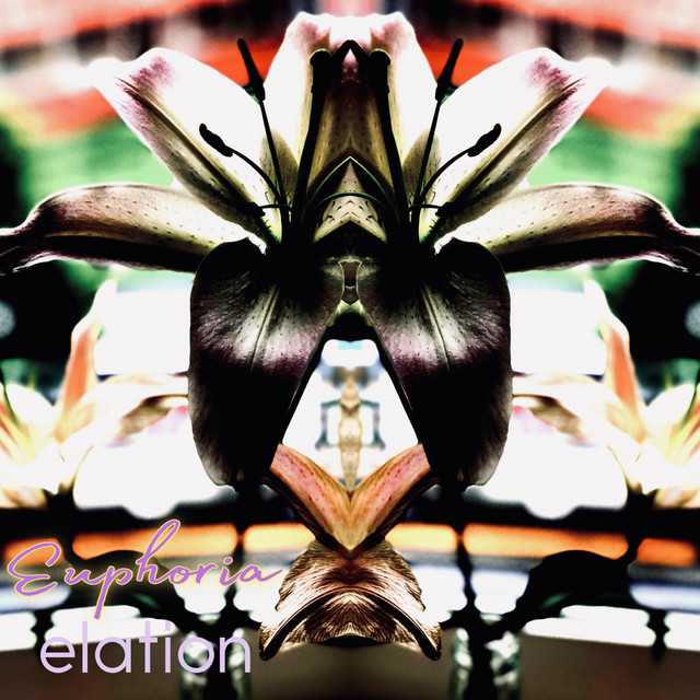 elation cover art