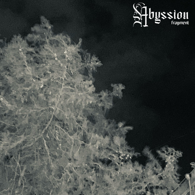 Fragment cover