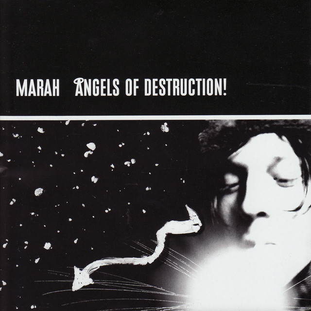 Angels Of Destruction! cover