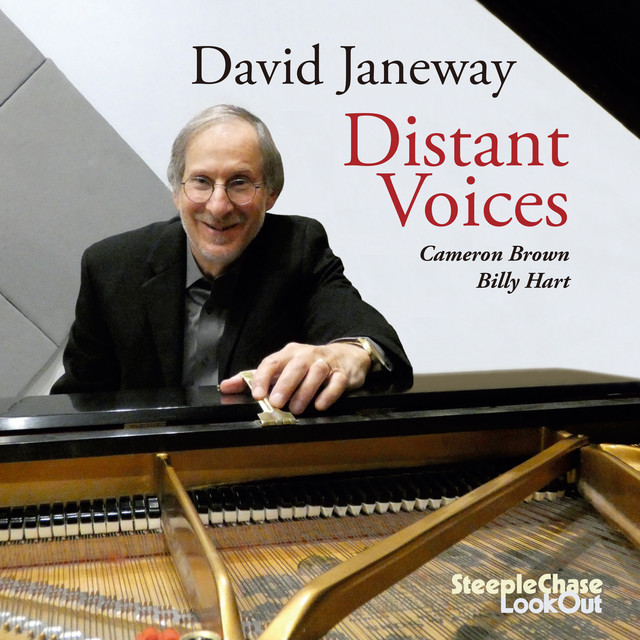 Distant Voices cover art