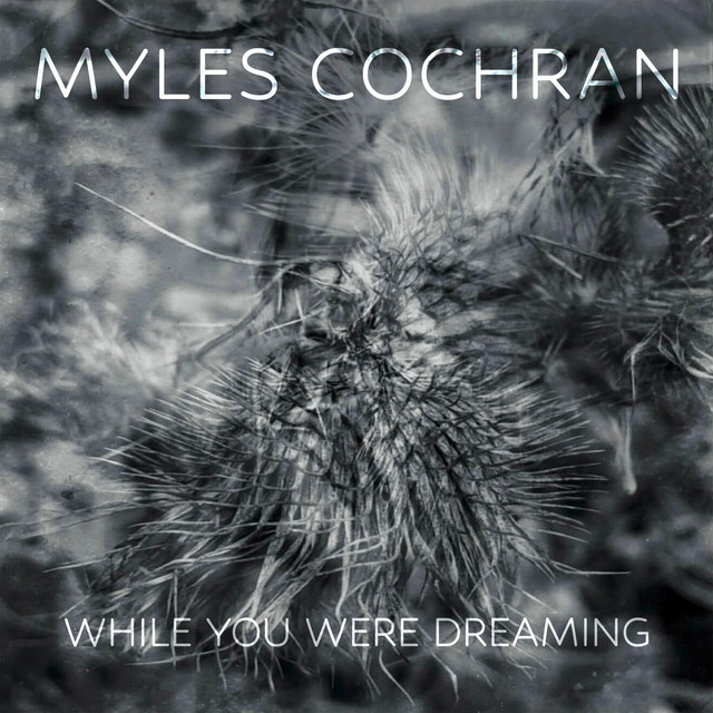 While You Were Dreaming cover
