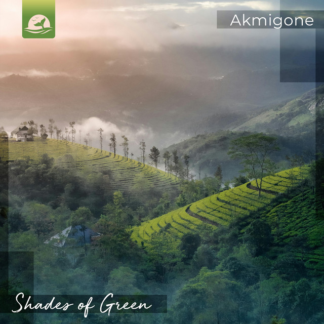 Shades of Green