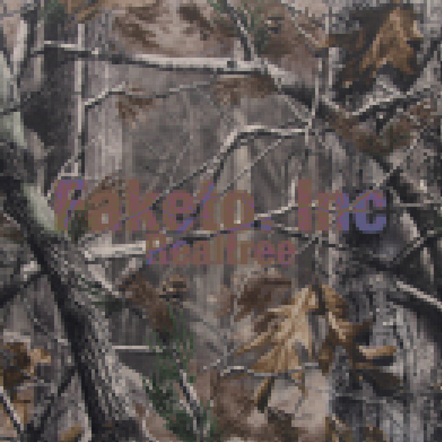 realtree cover art