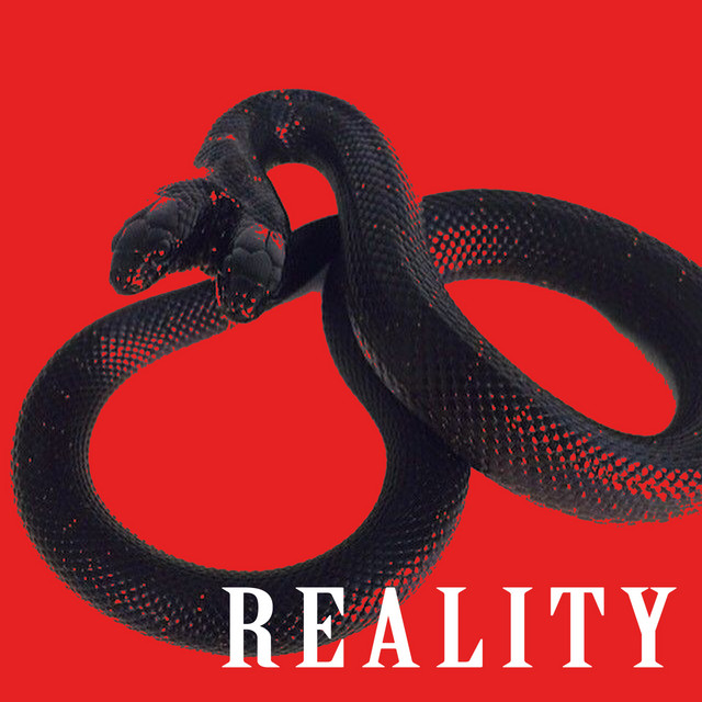 Reality cover art