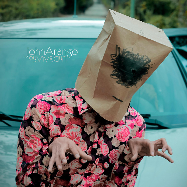 Un Día al Año cover art