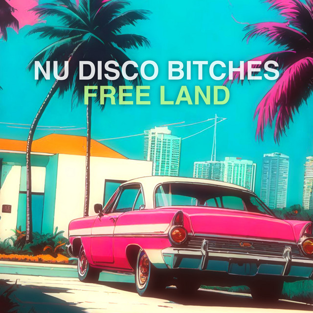 Free Land - Vassa De Fucca Remix album art