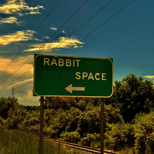 Rabbit's Pace - song and lyrics by Friendly Reminders | Spotify