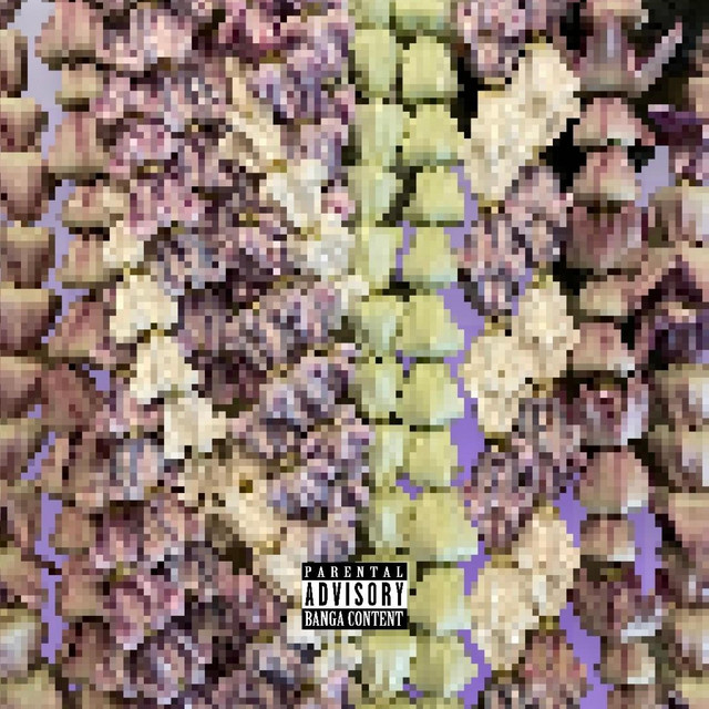 crownflower cover art