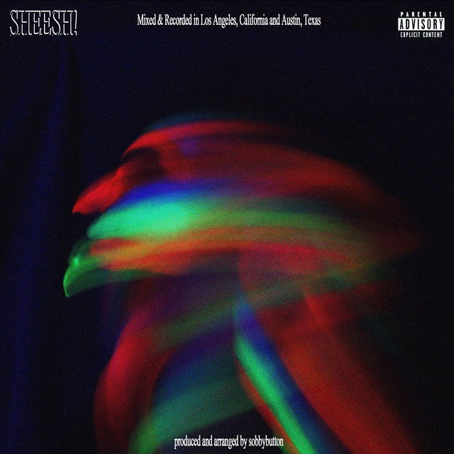 Sheesh! cover art