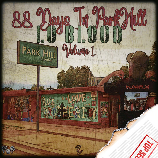 88 Days In ParkHill cover art