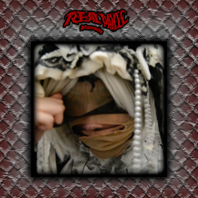 Real Panic cover