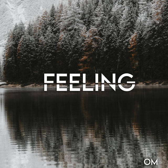 Feeling cover art