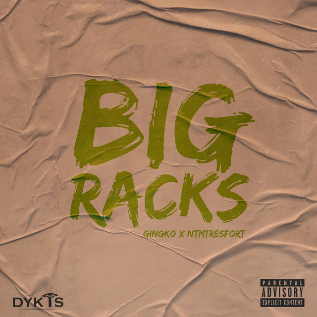 Big Racks - Single by DYKTS | Spotify