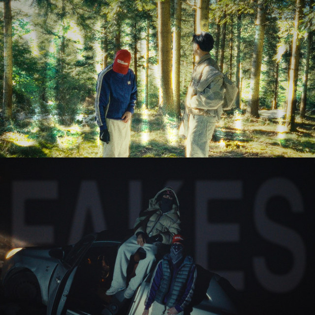 SCHNAPP // FAKES cover art