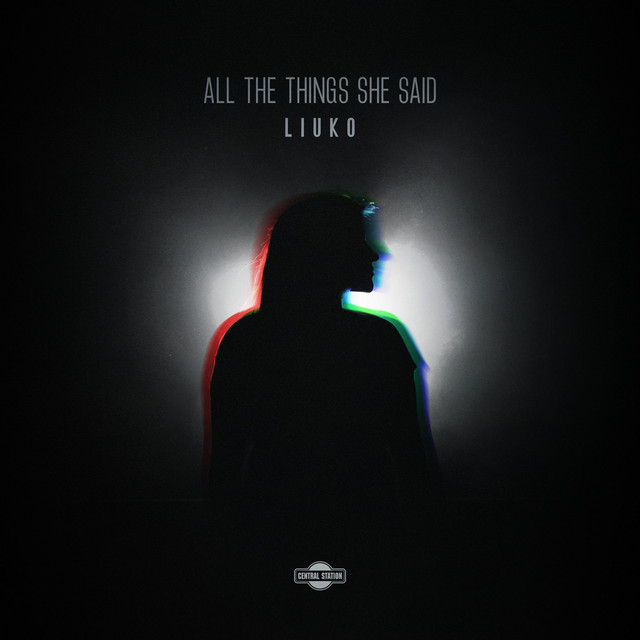 Pochette de All the Things She Said