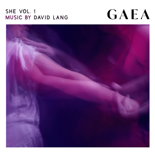 SHE VOL. 1 album image